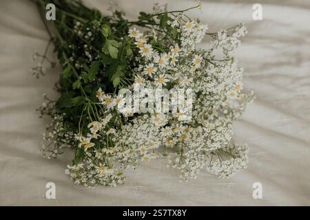 Grappe de marguerites et le souffle de bébé dans une mise au point douce avec des tons chauds Banque D'Images