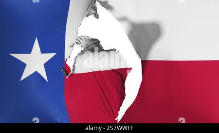 Drapeau de l'état du Texas endommagé, fond blanc, 3D Rendering Banque D'Images