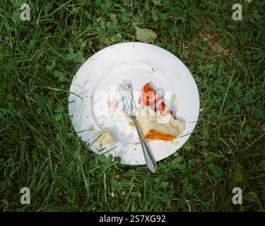 morceau de gâteau à moitié mangé sur une assiette blanche sur l'herbe. Photo de haute qualité Banque D'Images