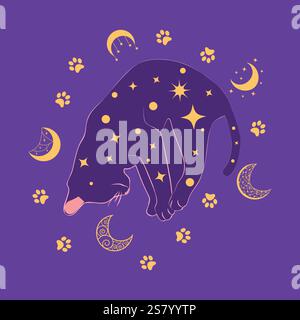 Chat mystique dans le style boho entouré d'étoiles, signes du zodiaque, balles, empreintes de pattes, collection de silhouette. Ésotérisme et mysticisme, occultisme. Dessin animé Illustration de Vecteur