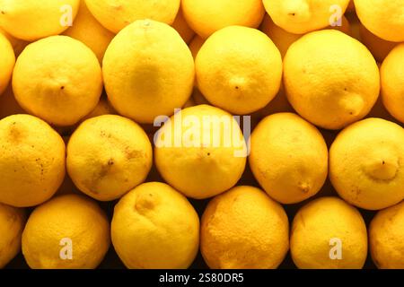 Citrons frais et vibrants à la peau jaune vif, parfaits pour ajouter une touche acidulée à vos boissons, plats ou desserts. Une source naturelle de vitamine C. Banque D'Images