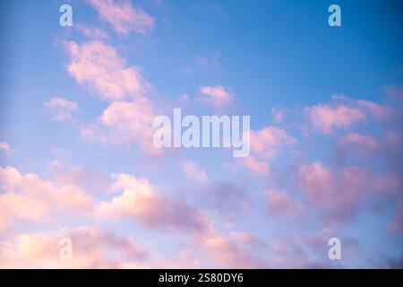 Les nuages roses dispersés dérivant à travers un ciel bleu vif créent une scène de coucher de soleil étonnante, rayonnant de tranquillité et de chaleur tout en invitant à une sensation de pe Banque D'Images