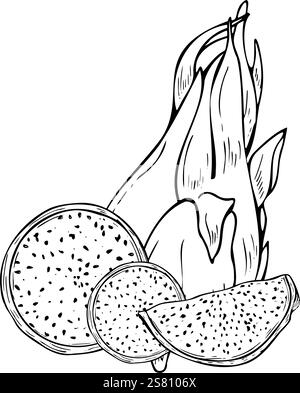 Illustration d'encre de ligne de cactus pitahaya monochrome vectorielle en noir et blanc. Fruit de dragon mûr sucré entier avec des tranches de coupe composition réaliste Illustration de Vecteur