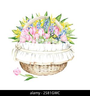Charmante illustration aquarelle d'une composition printanière avec un panier rempli de tulipes roses, jacinthes bleues, gouttes de neige et mimosa jaune décoré d'œufs peints et d'une tulipe sur fond blanc Banque D'Images