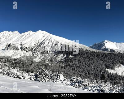 Chaîne de montagnes enneigée photographiée par une journée ensoleillée d'hiver dans les Tatras Banque D'Images