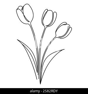 Tulipes dessin au trait. Bouquets floraux noir et blanc. Ligne florale Illustration tulipes fines. Fleurs dessinées à la main. Coloration botanique. Mariage Illustration de Vecteur
