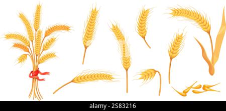 Épillets d'orge de dessins animés. Grains de blé mûrs, graines d'or d'oreille d'orge épis d'avoine épis de paille plante épi grappe récolte agricole pour les produits de boulangerie de farine, illustration vectorielle soignée illustration originale Illustration de Vecteur