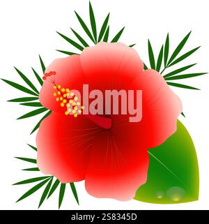 Hibiscus avec des feuilles. Illustration de Vecteur