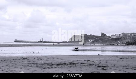 Prendre le chien pour une promenade sur Whitby Beach. Réflexions des promeneurs de chiens et de l'abbaye en arrière-plan. Beau et historique, calme et reposant. Banque D'Images