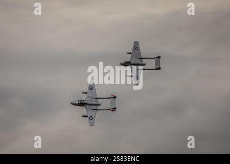 D. H Vampire FB.52 'LN-DHY' et D. H Vampire T.55 'LN-DNZ' de l'escadron historique norvégien, Duxford, Cambridgeshire, Angleterre, Royaume-Uni Banque D'Images