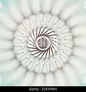 rendu 3d de l'art abstrait avec des machines 3d surréalistes moteur à réaction d'avion à turbine industrielle ou fleur en forme torsadée en spirale avec effet flou Banque D'Images