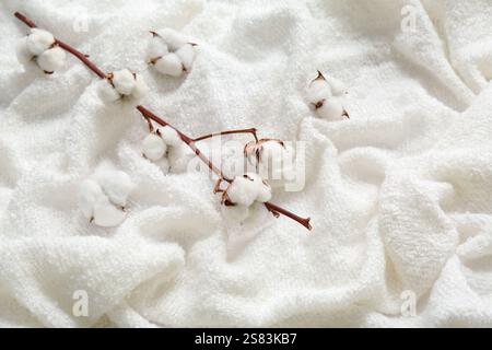 Brin de coton avec des fleurs sur une couverture moelleuse Banque D'Images