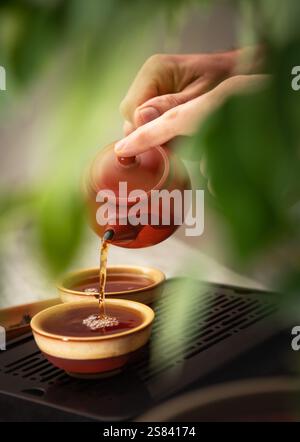 Mains féminines versant le thé de la théière en argile yixing dans des tasses à thé en céramique, créant un rituel de thé serein. La lumière douce, le plateau à thé en bois et la verdure évoquent cal Banque D'Images