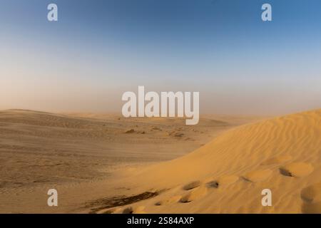 Dunes de sable roulantes du sommet du désert du Sahara Banque D'Images