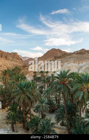 L'oasis de Chebika, au centre de la Tunisie Banque D'Images