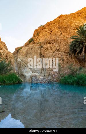 L'oasis de Chebika, au centre de la Tunisie Banque D'Images