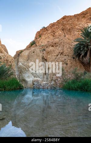 L'oasis de Chebika, au centre de la Tunisie Banque D'Images