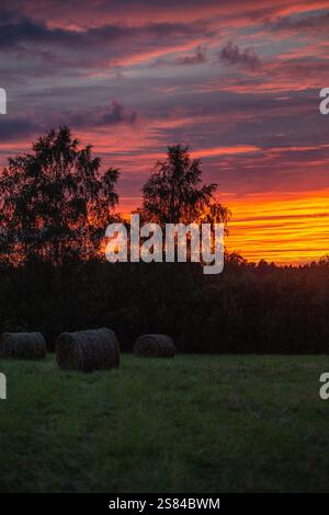 Un coucher de soleil vibrant aux teintes orange, rose et violette contraste avec les silhouettes des arbres. Les balles de foin reposent sur un champ herbeux au premier plan. Banque D'Images