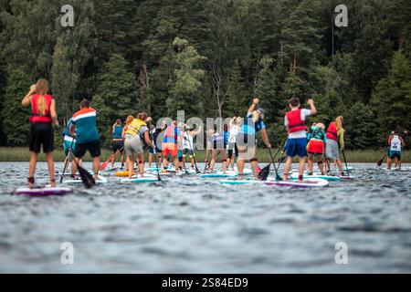 Les participants paddleboard sur un plan d'eau calme, portant des tenues colorées et des gilets de sauvetage, avec des arbres hauts et denses formant une toile de fond de forêt vibrante. Banque D'Images