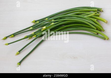 Les grappes d'oignons de printemps frais (oignons verts), également connus sous le nom d'oignons verts, sont des légumes comestibles de diverses espèces du genre Allium. Ils sont locaux Banque D'Images