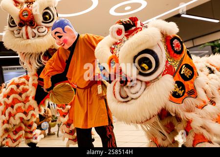 Melbourne, Australie. 21 janvier 2025. Une danse du lion vibrante envoûte la foule avec des battements de batterie animés. Sunshine Plaza célèbre le nouvel an lunaire avec une peinture de lanterne et un spectacle de danse du Lion. Ancrée dans les traditions chinoises anciennes, cette fête marque l’année du serpent, 2025, symbolisant la sagesse, la transformation et le renouveau. Les célébrations s’alignent sur la petite année du 20 janvier 2025, qui marque le début des préparatifs festifs. Crédit : SOPA images Limited/Alamy Live News Banque D'Images