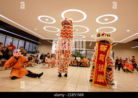 Melbourne, Australie. 21 janvier 2025. Une danse du lion vibrante envoûte la foule avec des battements de batterie animés. Sunshine Plaza célèbre le nouvel an lunaire avec une peinture de lanterne et un spectacle de danse du Lion. Ancrée dans les traditions chinoises anciennes, cette fête marque l’année du serpent, 2025, symbolisant la sagesse, la transformation et le renouveau. Les célébrations s’alignent sur la petite année du 20 janvier 2025, qui marque le début des préparatifs festifs. (Photo de Ye Myo Khant/SOPA images/Sipa USA) crédit : Sipa USA/Alamy Live News Banque D'Images