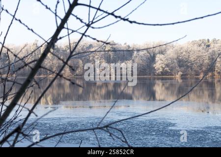 Une vue imprenable sur Straussee en hiver, avec des arbres couverts de gel qui se reflètent sur l'eau partiellement gelée, encadrée par de délicates branches. Banque D'Images