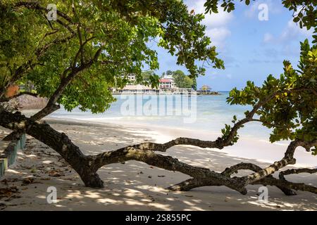Plage de beau Valon sur Mahé, Seychelles tôt le matin Banque D'Images