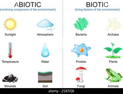Facteurs vivants biotiques et composants non vivants abiotiques de l'environnement. Illustration vectorielle. Illustration de Vecteur