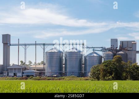 silos de stockage de grain de riz agricole et usine de production alimentaire sur un champ de riz vert avec ciel bleu. Banque D'Images