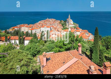 Vieille ville et Cathédrale George, Piran, Promorska, Istrie, Slovénie Banque D'Images