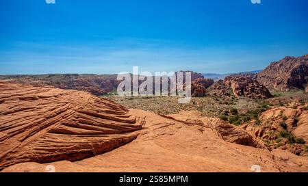 Dunes de sable pétrifiées, White Canyon State Park, Red Cliffs Desert Reserve près de George, Utah, États-Unis d'Amérique Banque D'Images