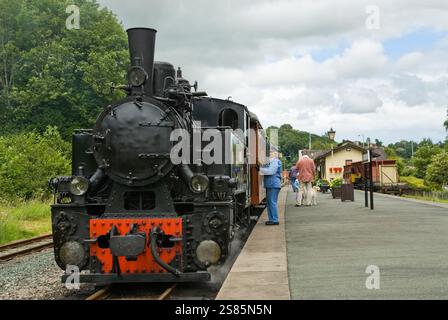 Llanfair Light Railway, Llanfair Caereinion, Welshpool, Powys, pays de Galles, Royaume-Uni Banque D'Images