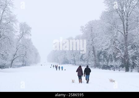 De fortes chutes de neige sont tombées dans le Cirencester dans les Cotswolds. Les gens sont vus marcher et jouer dans le parc Cirencester et sur le terrain de l'abbaye. Banque D'Images
