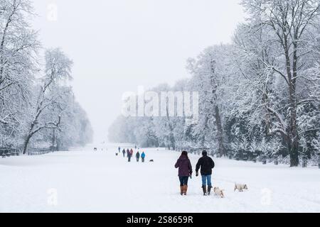 De fortes chutes de neige sont tombées dans le Cirencester dans les Cotswolds. Les gens sont vus marcher et jouer dans le parc Cirencester et sur le terrain de l'abbaye. Banque D'Images
