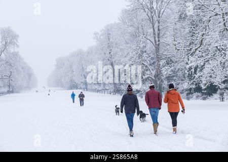 De fortes chutes de neige sont tombées dans le Cirencester dans les Cotswolds. Les gens sont vus marcher et jouer dans le parc Cirencester et sur le terrain de l'abbaye. Banque D'Images