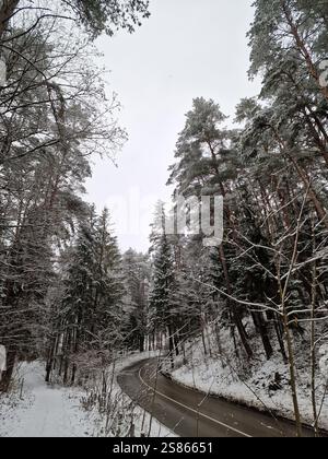 Route sinueuse dans la forêt couverte de neige, grands arbres des deux côtés de la route Banque D'Images