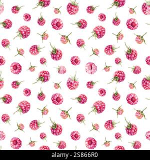 Motif aquarelle sans couture avec framboises et mûres. Illustration de dessin à la main baies rouges. Élément de design graphique isolé sur blanc Banque D'Images