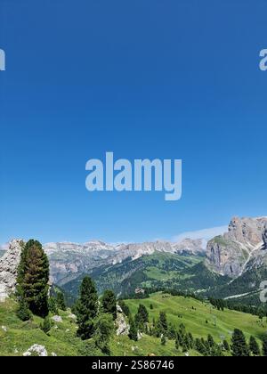 Vue idyllique sur la vallée de la montagne, Dolomites italiennes, collines verdoyantes et forêts luxuriantes sous un ciel bleu clair, montagnes dans le lointain Banque D'Images