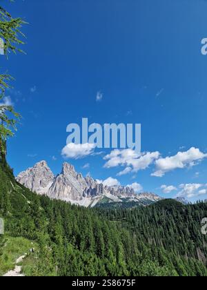 Magnifique paysage de montagne avec des forêts verdoyantes dans les vallées et des sommets majestueux s'élevant au loin, Monte Cristallo, Dolomites, Italie Banque D'Images