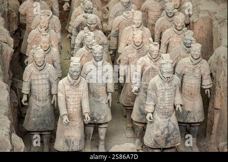 L'armée de terre cuite se compose de 8000 soldats, 130 chars avec 520 chevaux et 150 chevaux de cavalerie, qui ont été enterrés avec le premier empereur de Chine Banque D'Images