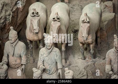 L'armée de terre cuite se compose de 8000 soldats, 130 chars avec 520 chevaux et 150 chevaux de cavalerie, qui ont été enterrés avec le premier empereur de Chine Banque D'Images