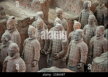 L'armée de terre cuite se compose de 8000 soldats, 130 chars avec 520 chevaux et 150 chevaux de cavalerie, qui ont été enterrés avec le premier empereur de Chine Banque D'Images
