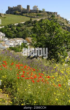 Château médiéval perché au-dessus d'une ville blanche vue d'une colline couverte de pavot au printemps, Carcabuey, Province de Cordoue, Andalousie, Espagne Banque D'Images