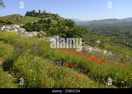Château médiéval perché au-dessus d'une ville blanche vue d'une colline couverte de pavot au printemps, Carcabuey, Province de Cordoue, Andalousie, Espagne Banque D'Images