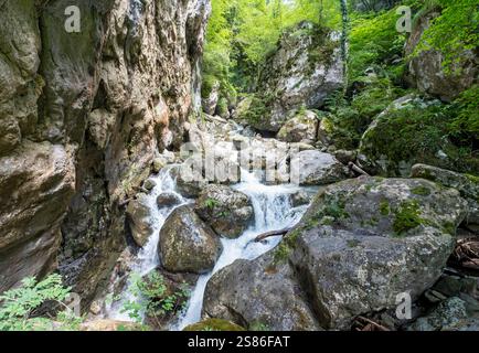 Sass Corbee, Lac de Côme, Lago di Côme, Italie Banque D'Images