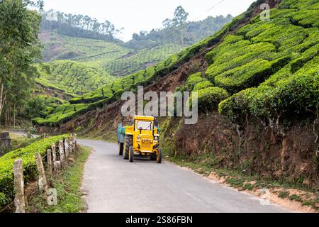 Tracteur vintage jaune transportant des feuilles de thé des plantations à l'usine de Munnar, Kerala, Inde. Banque D'Images