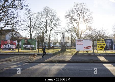 Affiches électorales des partis SPD, Die Gruenen, Die Linke et FDP pour les élections fédérales anticipées du 23 février 2025 à Schildow (Muehlenbeck-Moench Banque D'Images