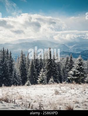 Montagnes des Carpates en hiver : vue du sommet de la montagne aux pins enneigés et vallée dans la chaîne de montagnes Gorgany en arrière-plan. Banque D'Images