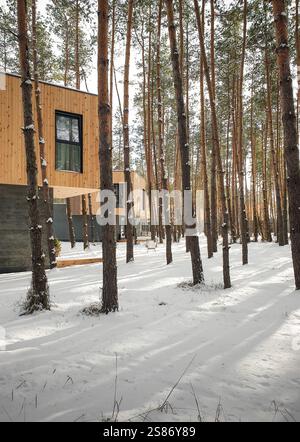 Maisons modernes dans la forêt d'hiver. Maisons en bois de deux étages dans la forêt de pins par une journée ensoleillée. Banque D'Images